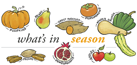 whatsInSeasonFall15