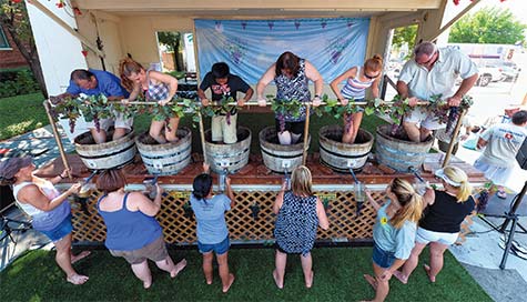notableGrapefest2