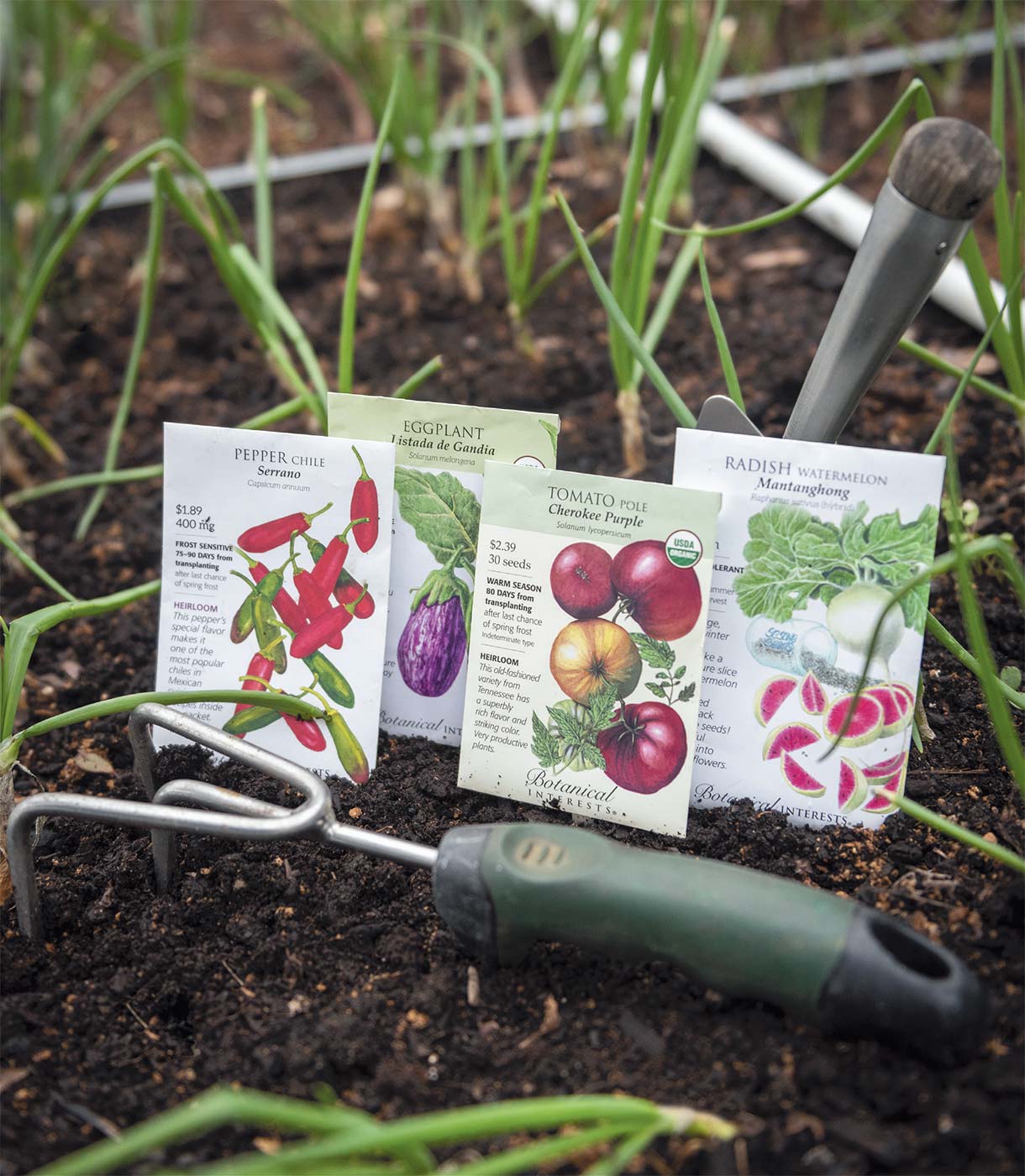 Shop Heritage Seed- Exclusive Heirloom Varieties Available