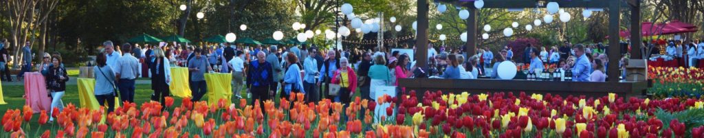 Dallas Arboretum Food & Wine Festival 