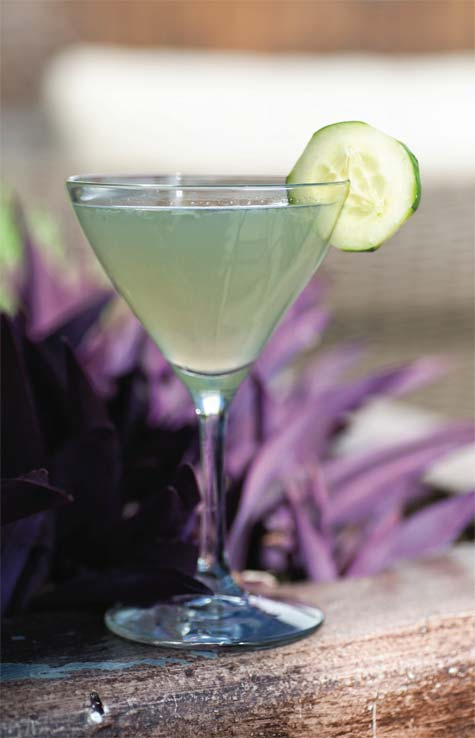 cucumberMartini