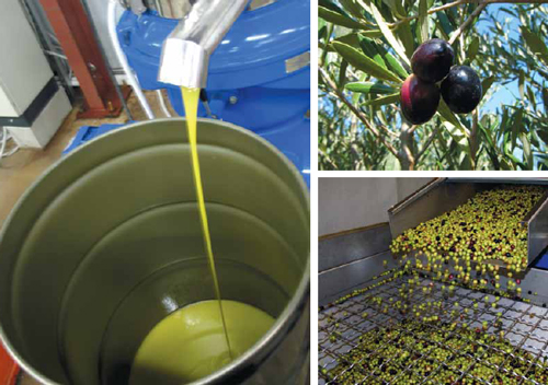 olive_oil