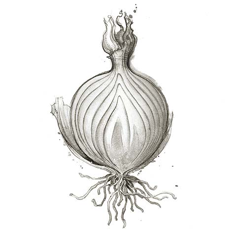 closingOnion