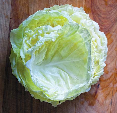 letsTalkCabbage